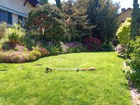 Gartenarbeiten von GarPas