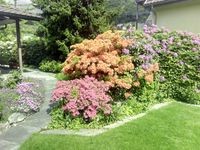 Gartenunterhalt in Welschenrohr