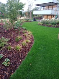 IMG_20191002_075356_4