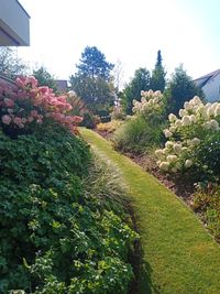 IMG_20210826_102244_2