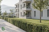 gartenunterhalt, liegenschaft, welschenrohr